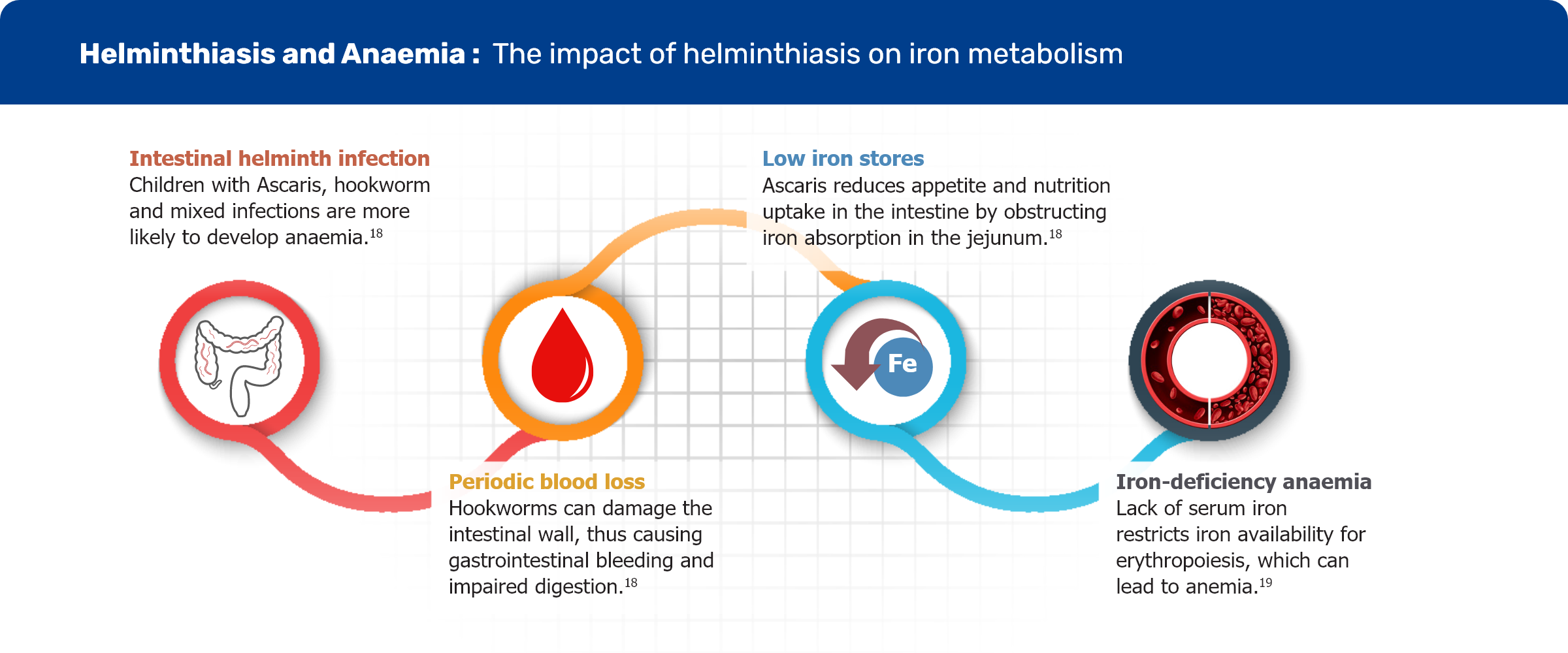 helminthiasis-anaemia